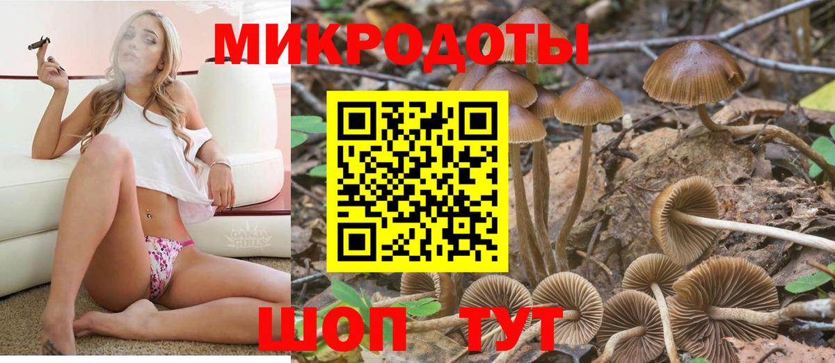 Галлюциногенные грибы Psilocybe  Вход с VPN  Псилоцибиновые грибы мицелий  Зеленокумск 
