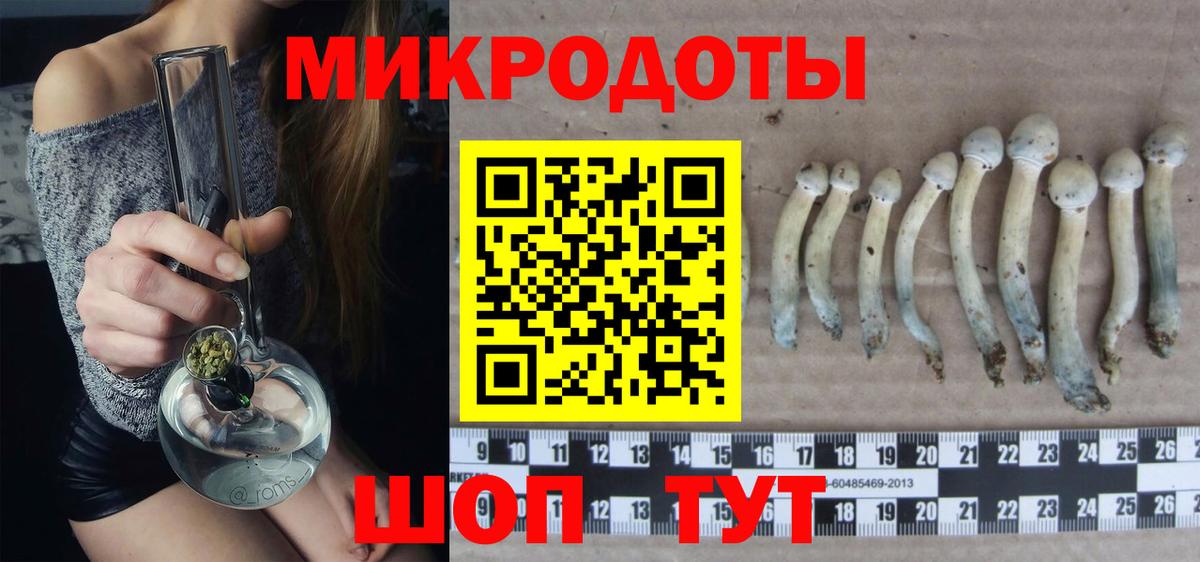 Псилоцибиновые грибы Psilocybine cubensis Зеленокумск